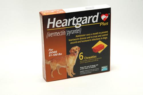 ハートガードプラス(カルドメック) 犬23.1-45.4kg用 Heartgard Plus 6個入り